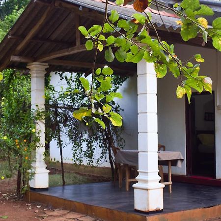 Senu Homestay Sigiriya Eksteriør billede