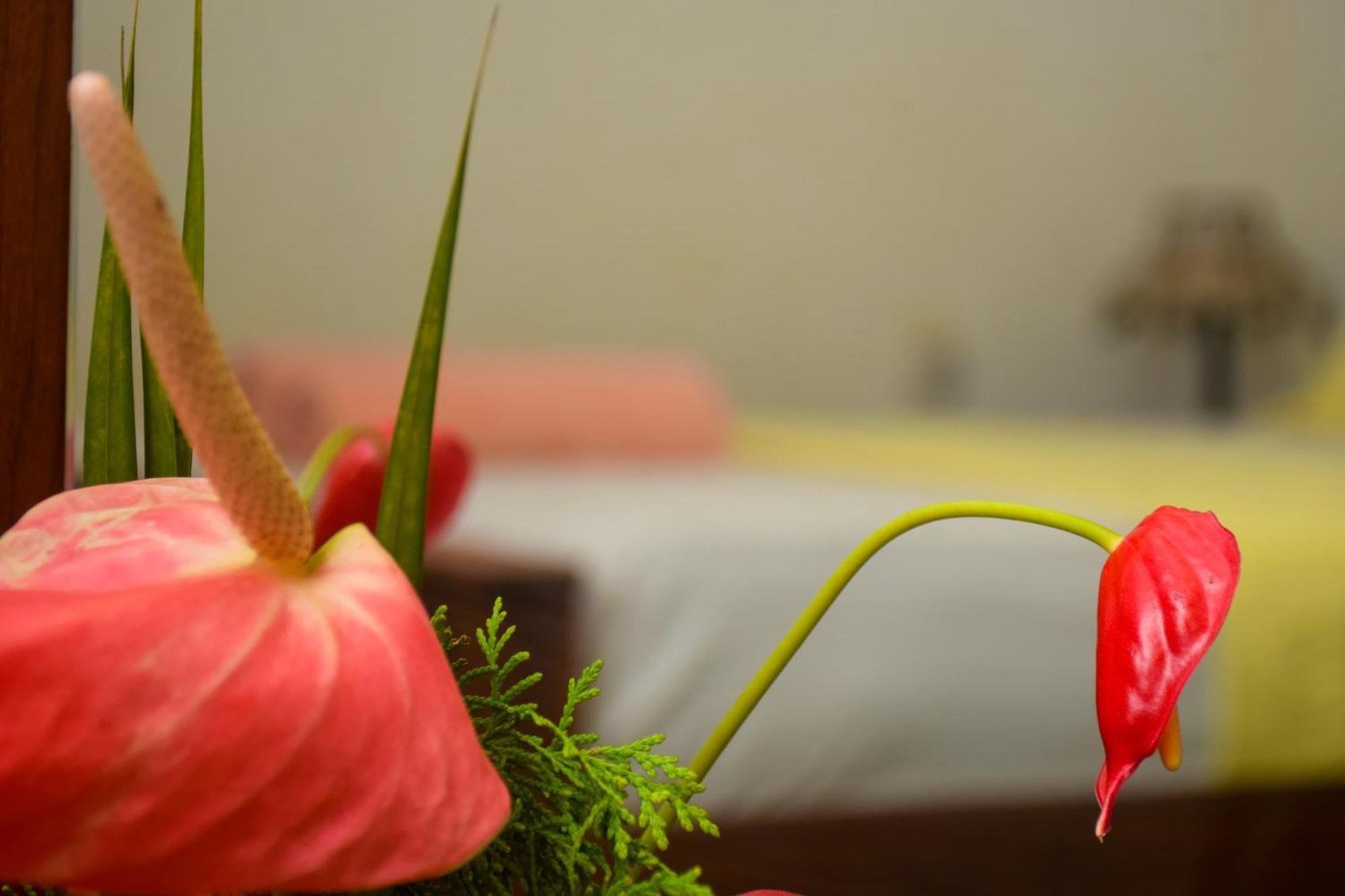Senu Homestay Sigiriya Eksteriør billede