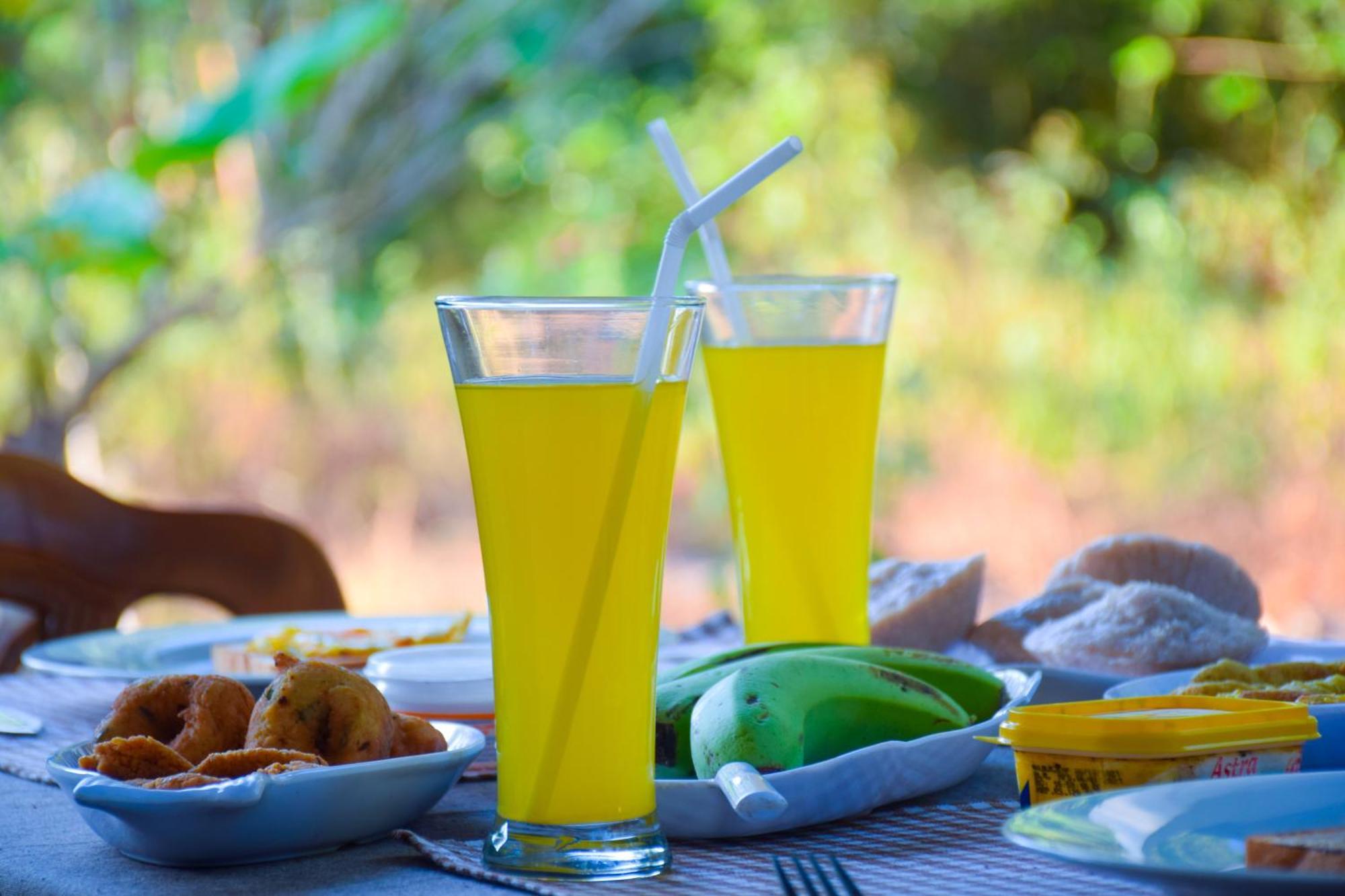 Senu Homestay Sigiriya Eksteriør billede