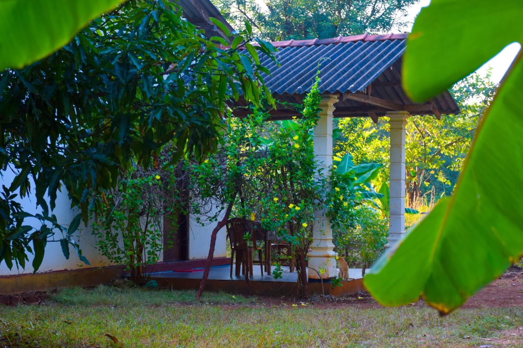 Senu Homestay Sigiriya Eksteriør billede