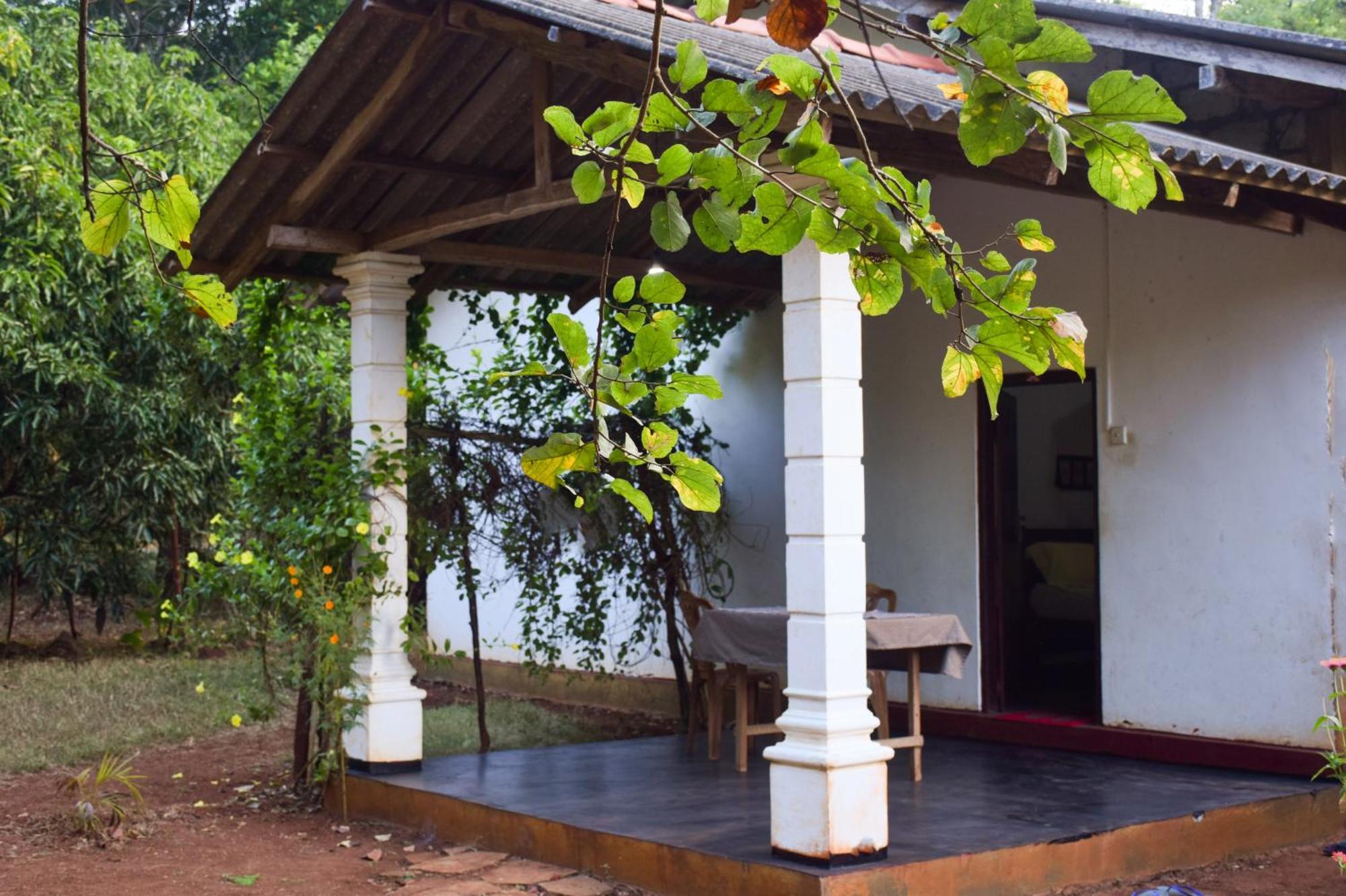 Senu Homestay Sigiriya Eksteriør billede